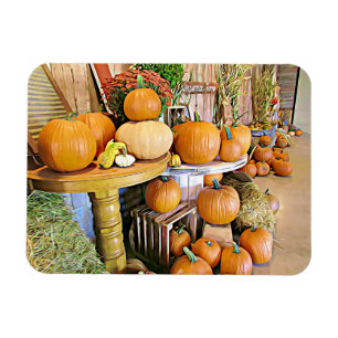 Íman Feliz Halloween Autumn Display Pumpkins Magnet