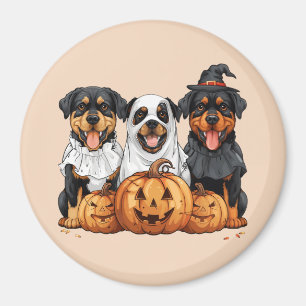 Íman Feliz Halloween Rottweiler Cães Jack O Lanterna