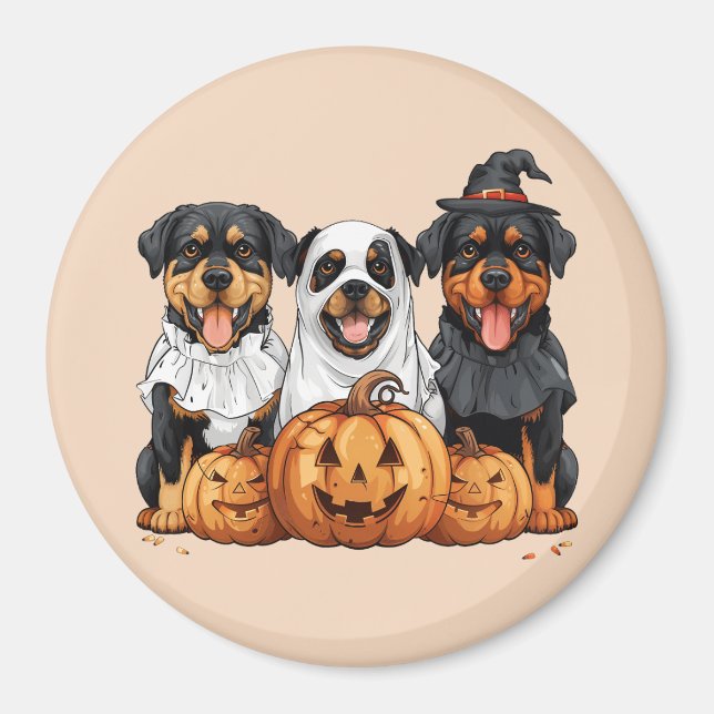 Íman Feliz Halloween Rottweiler Cães Jack O Lanterna (Frente)