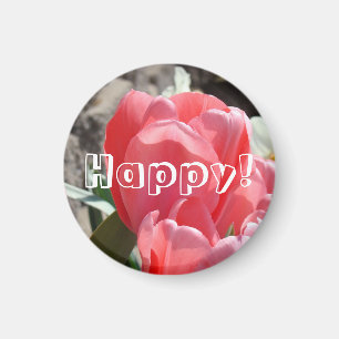 Íman Feliz! ímãs Tulipas Rosa Flores Felicidade