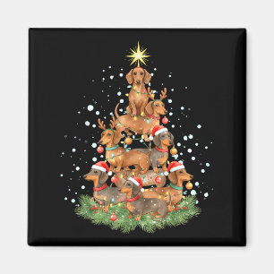Íman Feliz Lobo Natal Patas Feriados Dachshund Árvore A