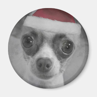 Íman Feliz Natal Chihuahua Puppy com Santa Hat