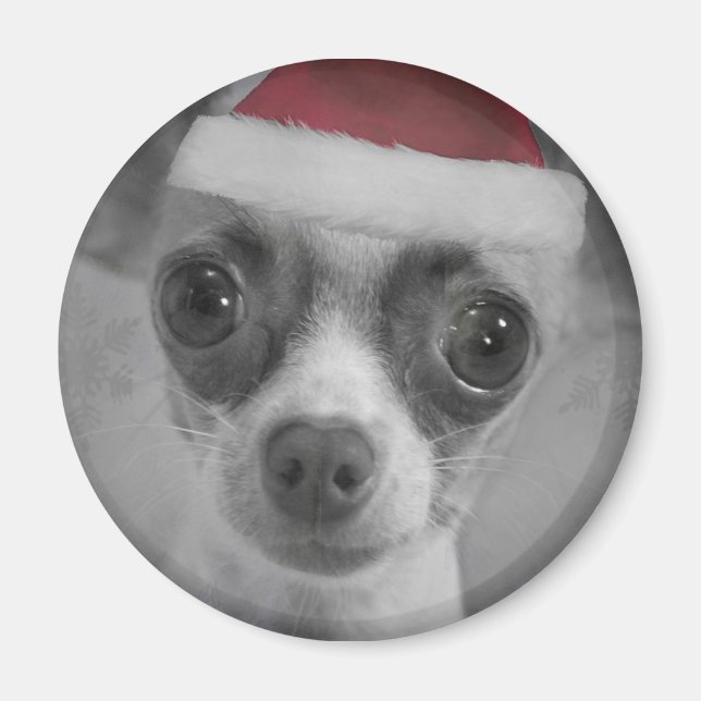 Íman Feliz Natal Chihuahua Puppy com Santa Hat (Frente)