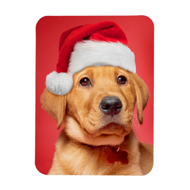 Íman Feliz Natal, Fofo Labrador Puppy em Santa Hat (Vertical)