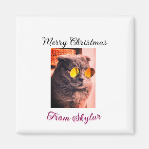 Íman Feliz Natal, gato, cão de estimação, foto de amor
