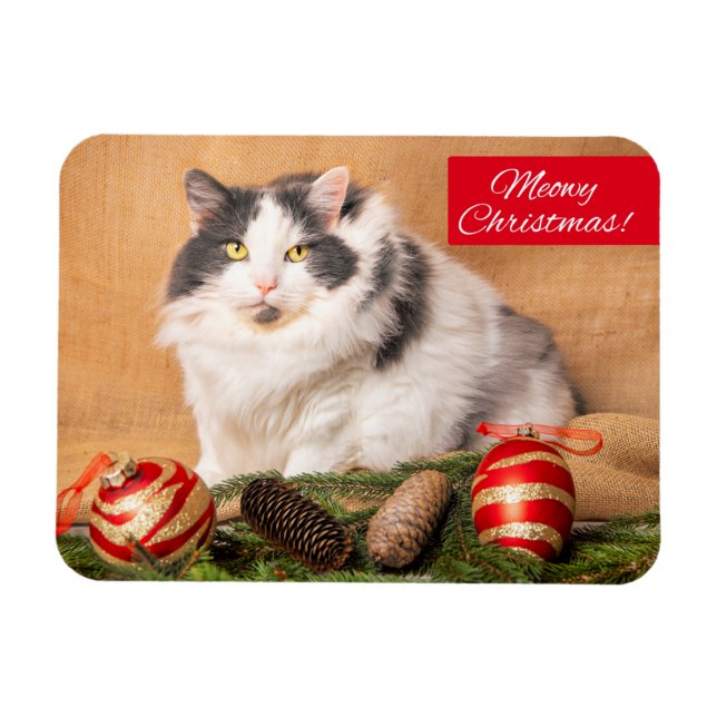 Íman Feliz Natal Para Qualquer Gato Bonito. (Horizontal)
