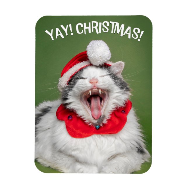 Íman Feliz Natal para qualquer gato feliz no chapéu (Vertical)