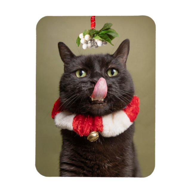 Íman Feliz Natal Para Qualquer Gato Sob Mistura (Vertical)