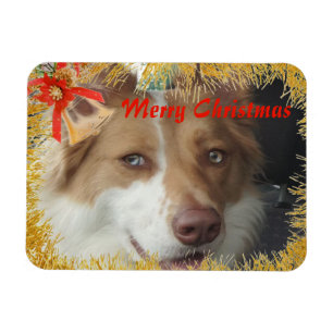 Íman Feliz Natal Pet Foto