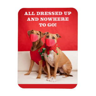 Íman Feliz Natal Pit Bulls em Rostos Máscaras