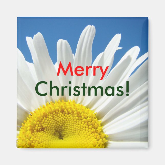 Íman Feliz Natal! presentes de ímã Flor de Margarida Br (Frente)