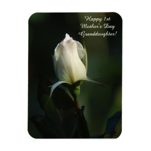 Íman Feliz neta Dia de as mães 1rua