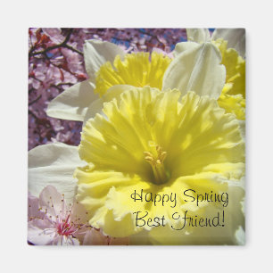 Íman Feliz Primavera Melhor Amigo! ímã Narcisos Brilhan