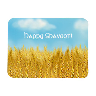 Íman Feliz Shavuot Dourado Trigo Campo Azul Céu Belo Ar