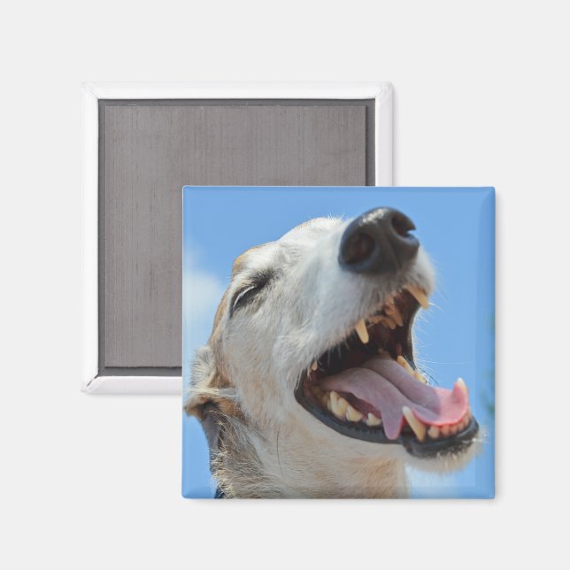 Íman Feliz Sorriso De Rosto Greyhound Fechado (Front/Back)