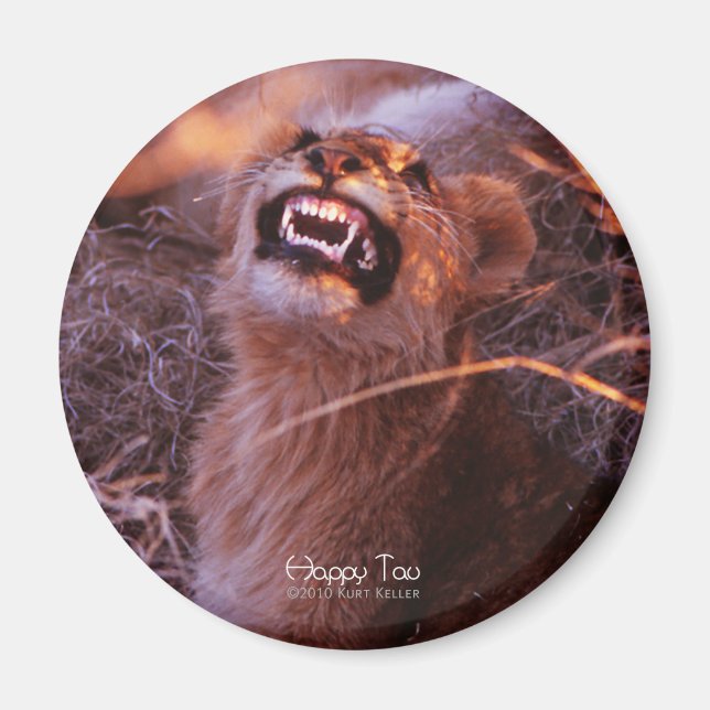 Íman Feliz Tau, Cubo Leão Sorridente (Frente)