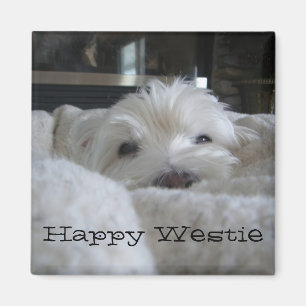 Íman Feliz Westie Photo Magnet