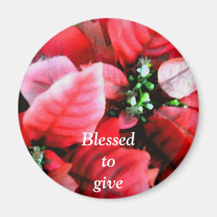 Íman Felizes feriados_