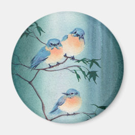 ÍMAN FELIZMENTE, BLUEBIRDS, DE SHARON SHARPE