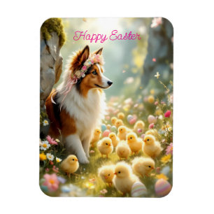 Íman Felz pascoa Collie e Pintinhos