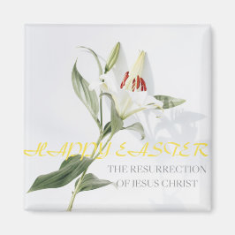 Íman Felz pascoa .lily