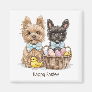 Íman Felz pascoa Yorkshire Terrier Dogs