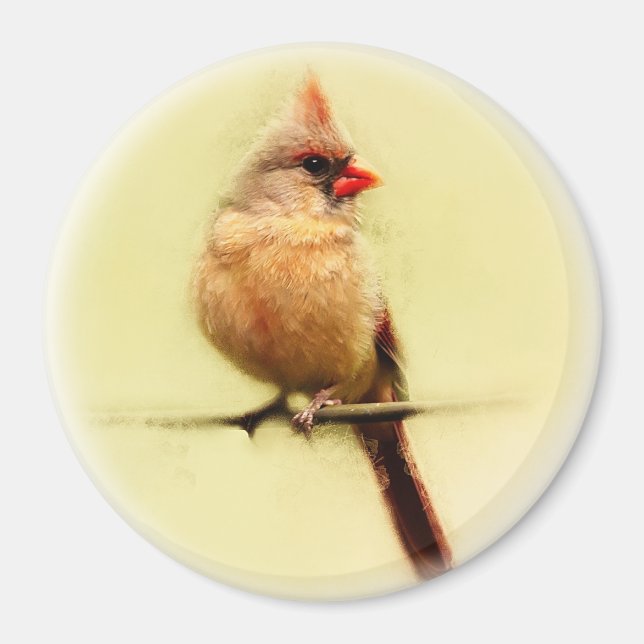 Íman Female Cardinal Songbird (Frente)