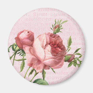 Íman Feminina e bela vintage, rosa rosa-rosa