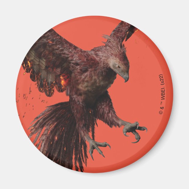 Íman Fênix Voando Gráfico (Frente)