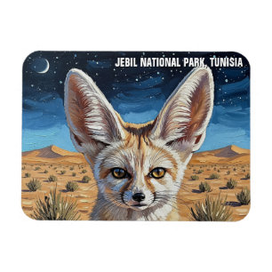 Íman Fennec Fox no Parque Nacional de Jebil, Tunísia