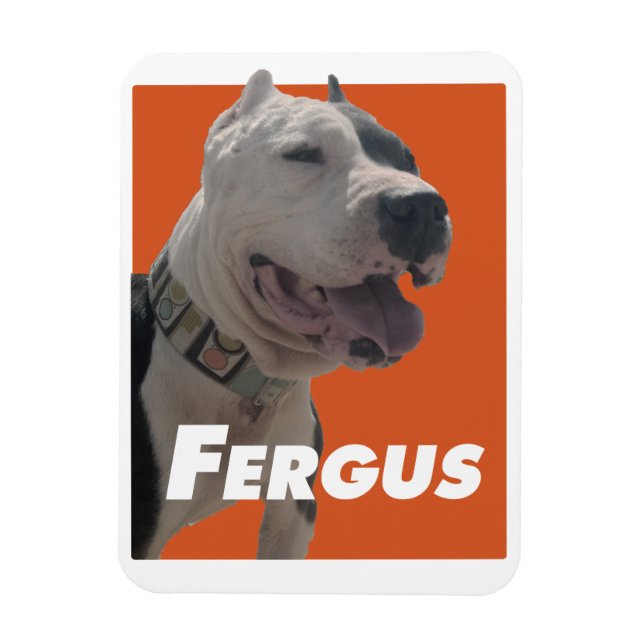 Íman Fergus The Barbers Dog (Vertical)