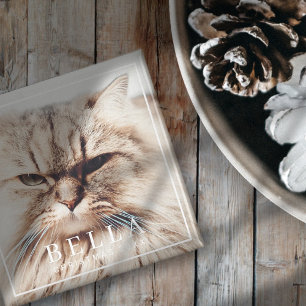 Íman Feriado de Fotos de Pet da Família Chic Moderna d