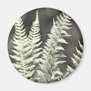 Íman Fern Artístico Abstrato