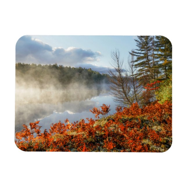 Íman Ferns na linha costeira | Paraíso, Michigan (Horizontal)