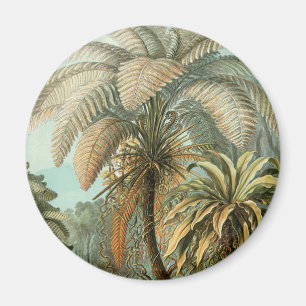 Íman Ferns Palm Tree Arte Botânica Antica