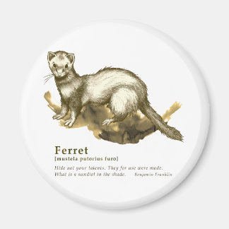 Íman Ferret - sepia