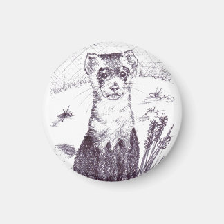 Íman Ferreto de pés pretos - Magneta