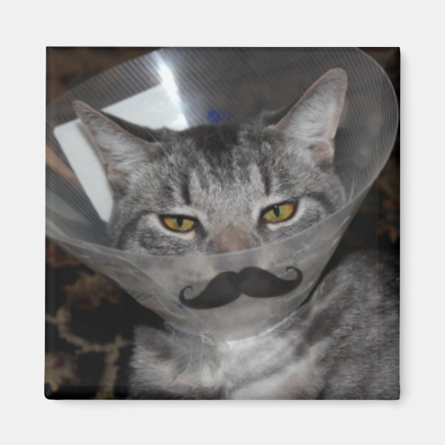 Íman ferris mewler Magnet (Frente)