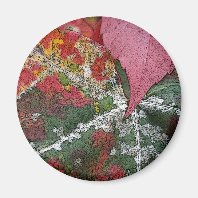 Íman ferrugem do outono (Frente)