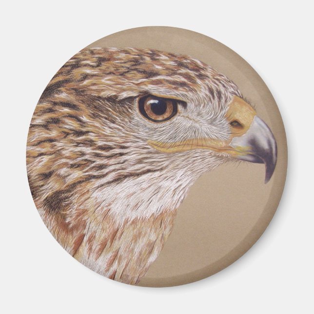 Íman Ferruginous Hawk (Frente)