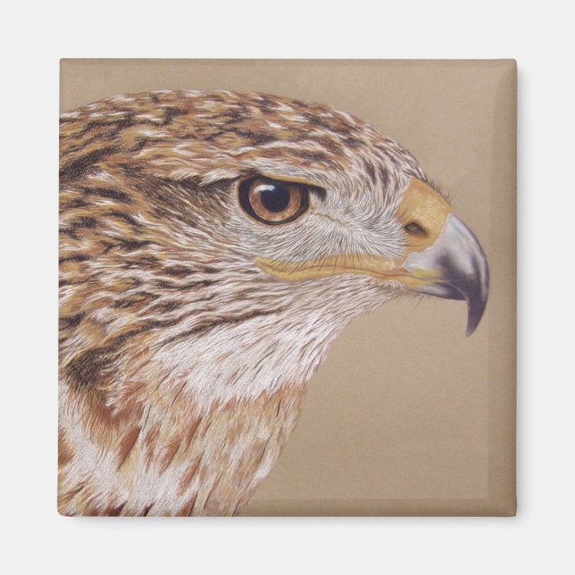 Íman Ferruginous Hawk (Frente)