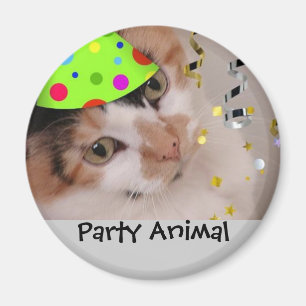Íman Festa Animal/Calico Cat