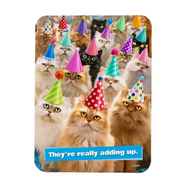 Íman Festa de Gatos (Vertical)