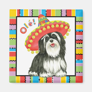 Íman Festa Havanese