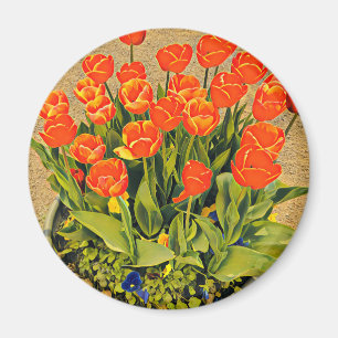 Íman Festival de flores florais moderno das tulipas