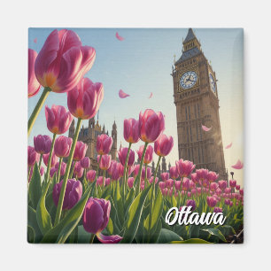 Íman Festival de Tulipas em Ottawa Canadá Viagem