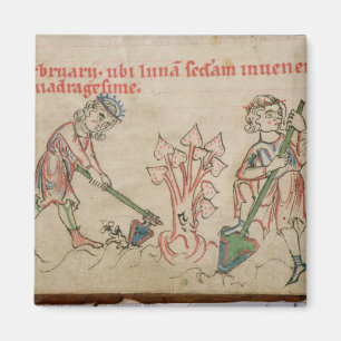 Íman Fevereiro: cavadura