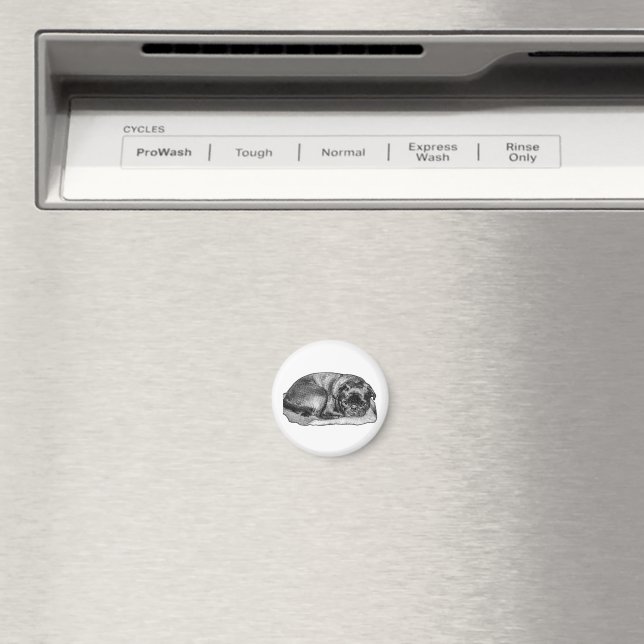 Íman Ficando Bem Aqui (In Situ (Dishwasher))