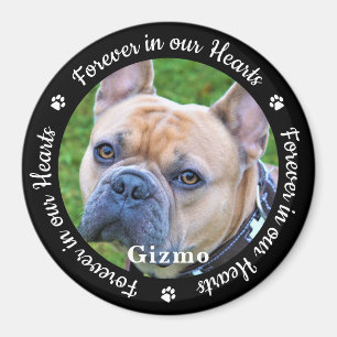Íman Ficheiro de Memória Pet Dog de Foto Personalizado