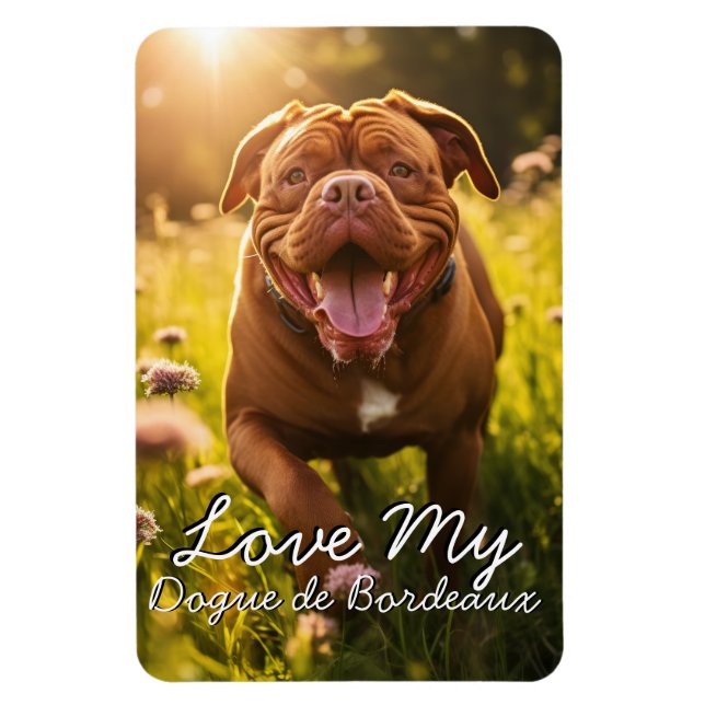 Íman Ficheiro Personalizado de Dogue de Bordeaux (Vertical)